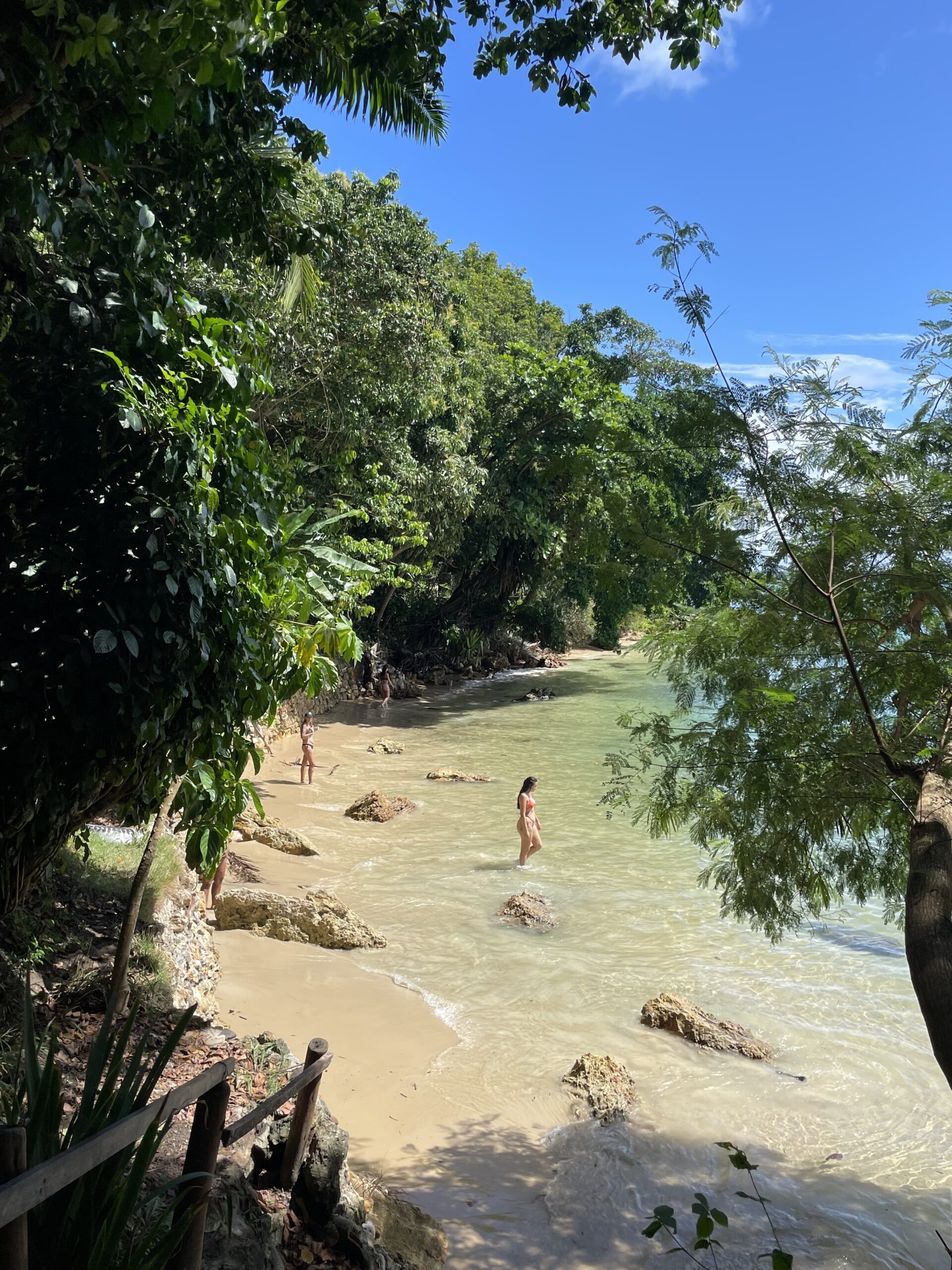 beach in bahia brazil