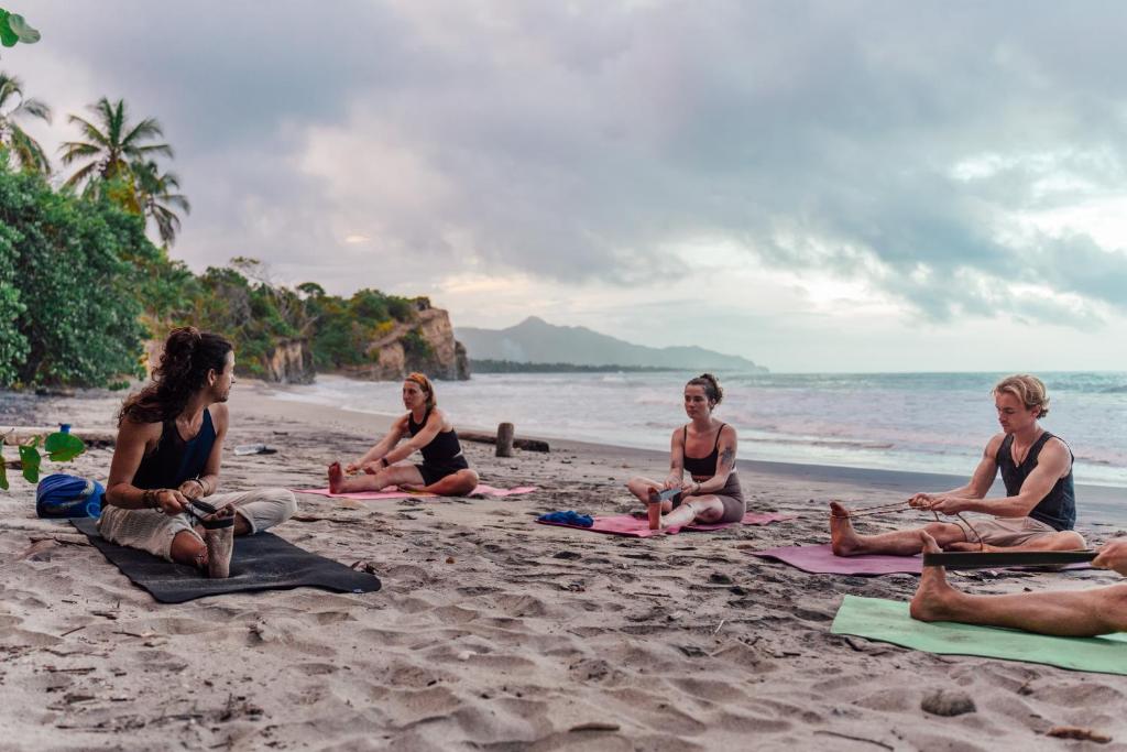 The 10 Best Beach Hostels in Colombia | A Budget Backpacker's Guide photo of jaba jan hostel, palomino