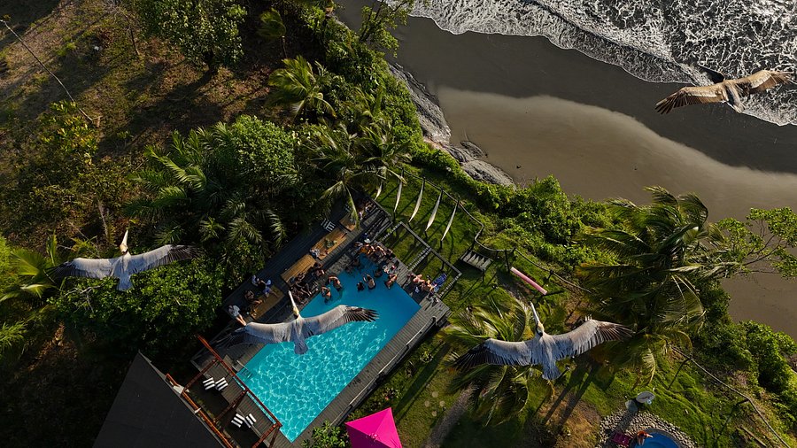 The 10 Best Beach Hostels in Colombia | A Budget Backpacker's Guide melo party hostel in capurgana colombia