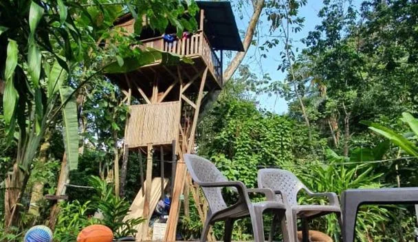 The 10 Best Beach Hostels in Colombia | A Budget Backpacker's Guide treegana hostel in acandi colombia