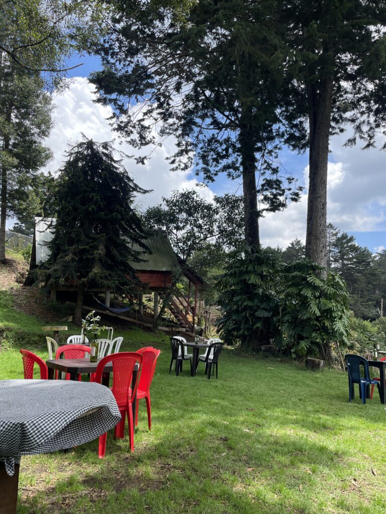 forest lunch spot in santa elena antioquia colombia