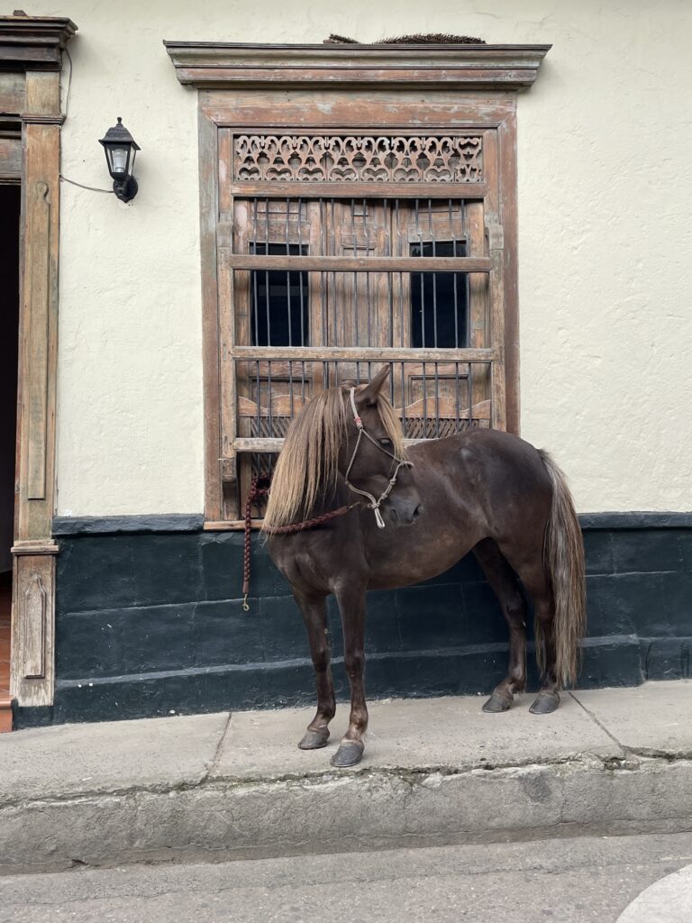 cowboys horse in el retiro, antioquia colombia