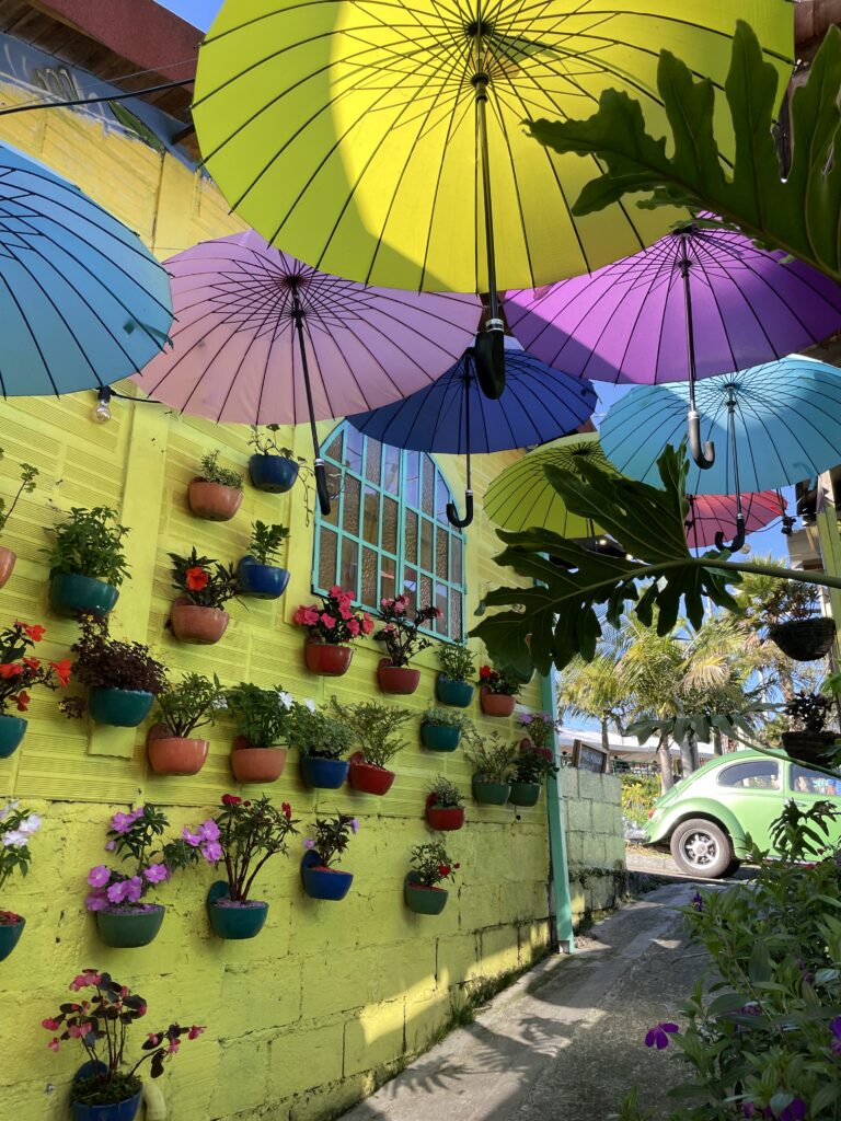 flower wall in santa elena, medellin, antioquia colombia
