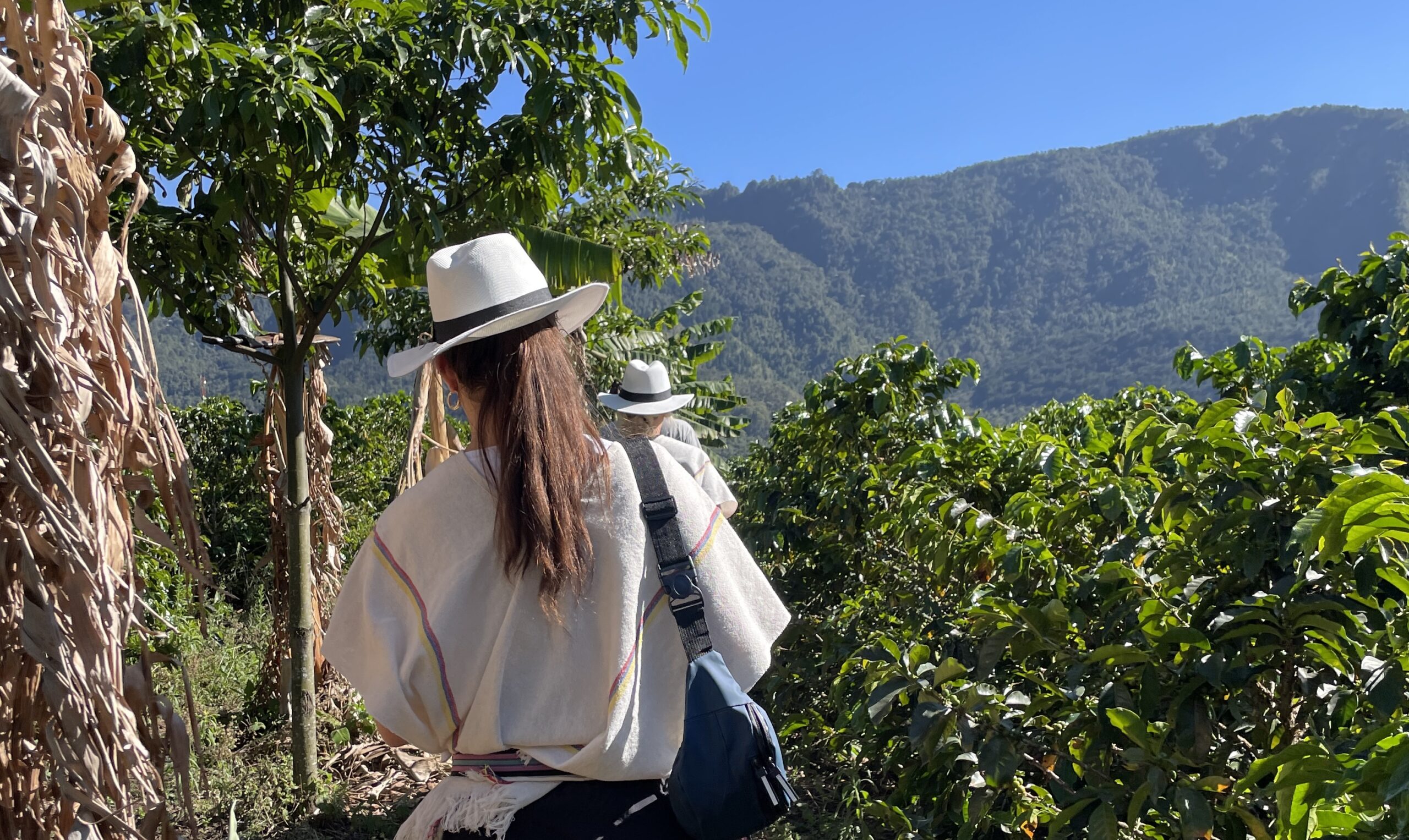 The Best Things to Do in Medellín in 2026: Top Medellín Activities and Tours The Best Things to Do in Medellín in 2026: Top Medellín Activities and Tours