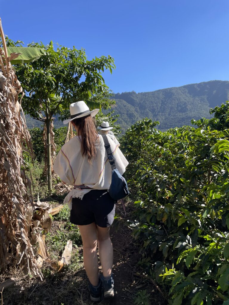 How to Spend 3 Days in Medellín, Colombia (2026 Itinerary) coffe tour in medellin colombia