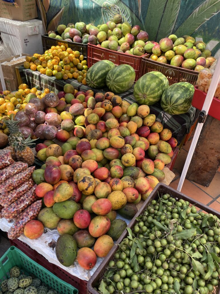medellin fruit market stand in colombia