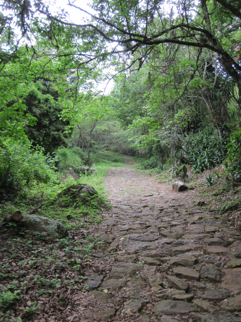 part of the path on the camino real in barichara colombia