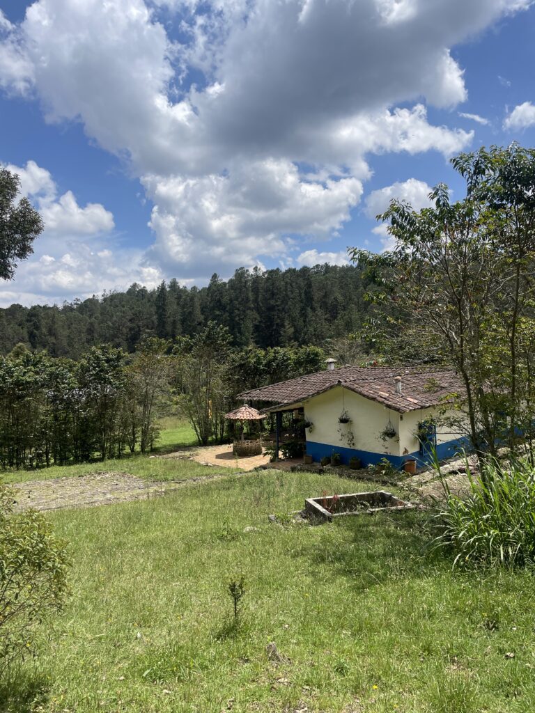 Where to Stay in Medellín: The Best Neighbourhoods for Every Kind of Traveller santa elena close to envigado medellin colombia