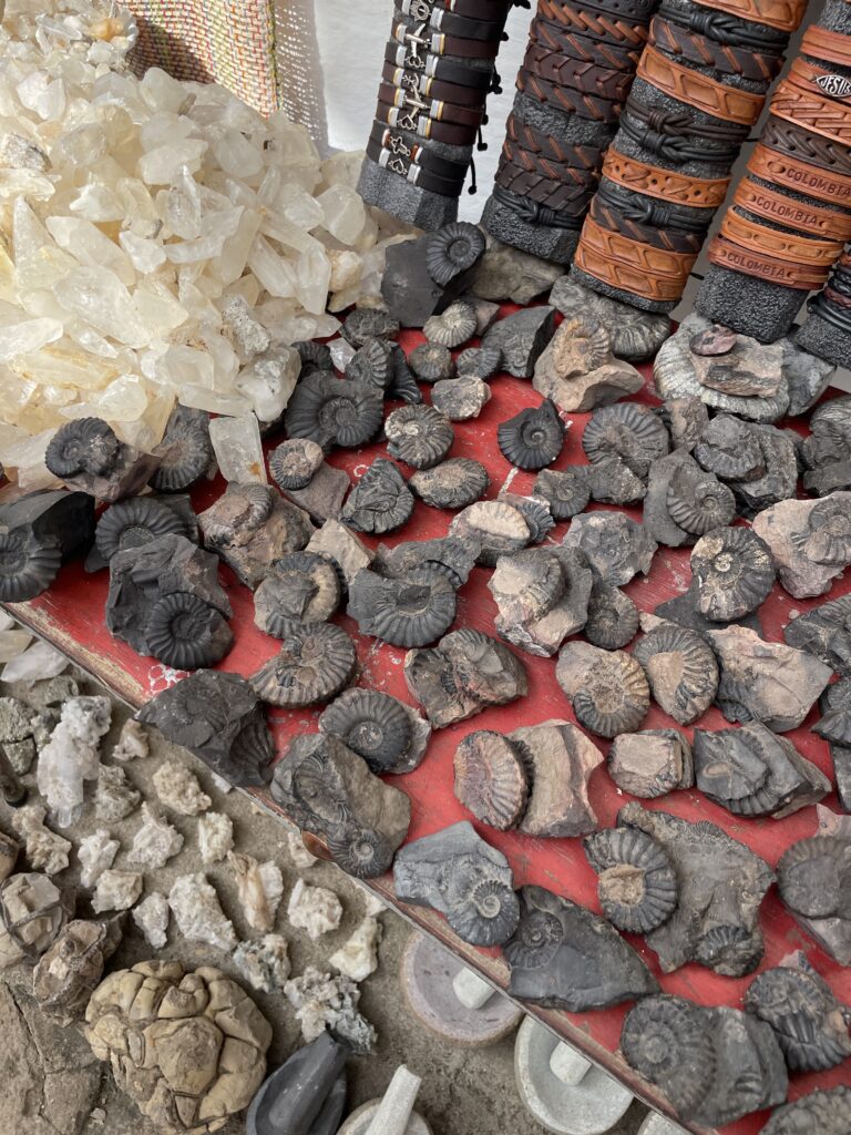 fossils found in guane on the camino real hike in colombia