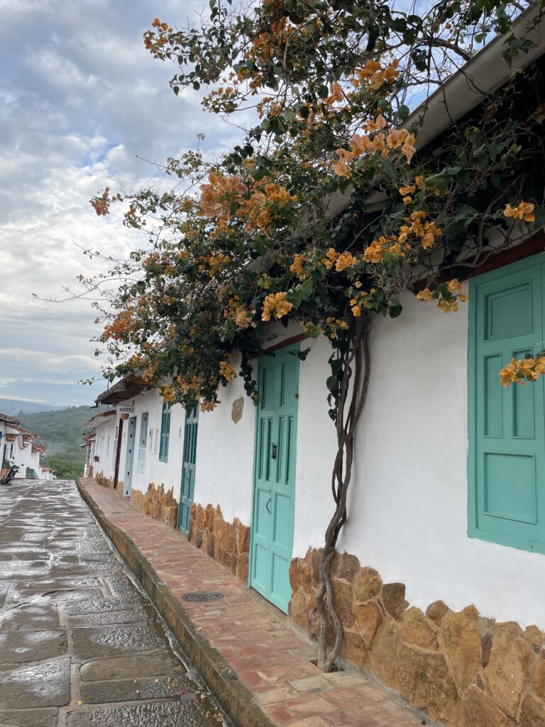 street in barichara colombia with blue doors and yellow flowers