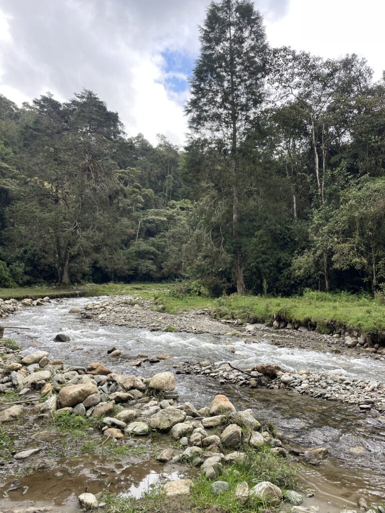Skip Parque Arví & Visit La Clara: A Unique Hike In Medellín river in la clara caldas medellin, colombia