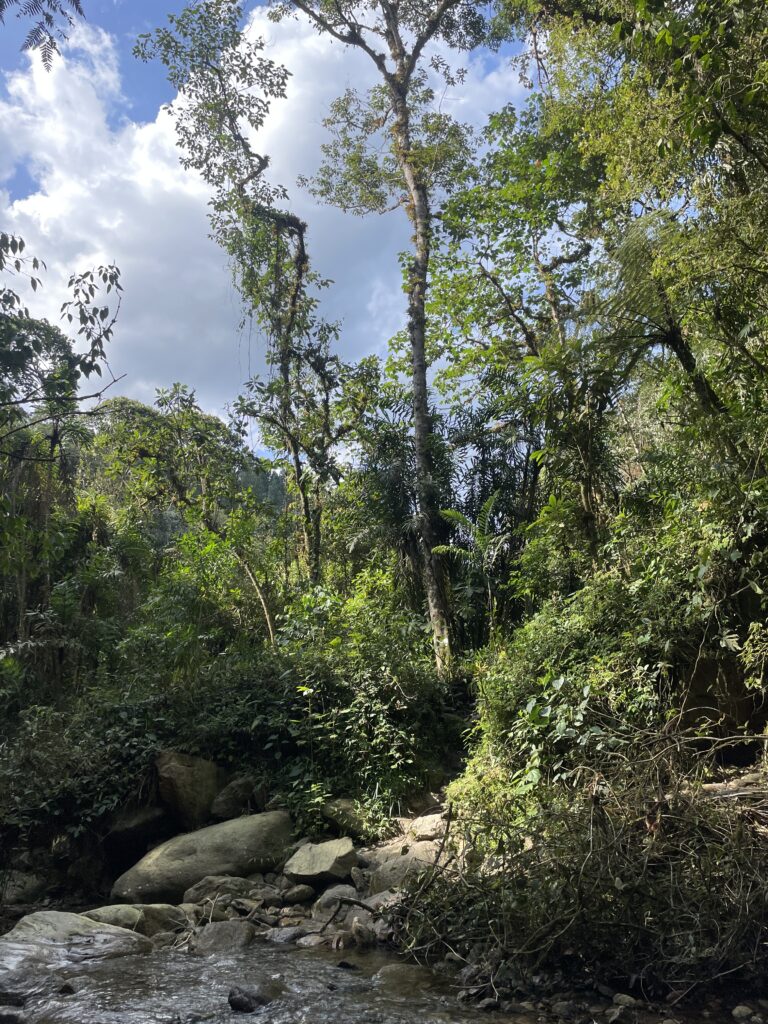 nature and river hiking in medellin outside of the city